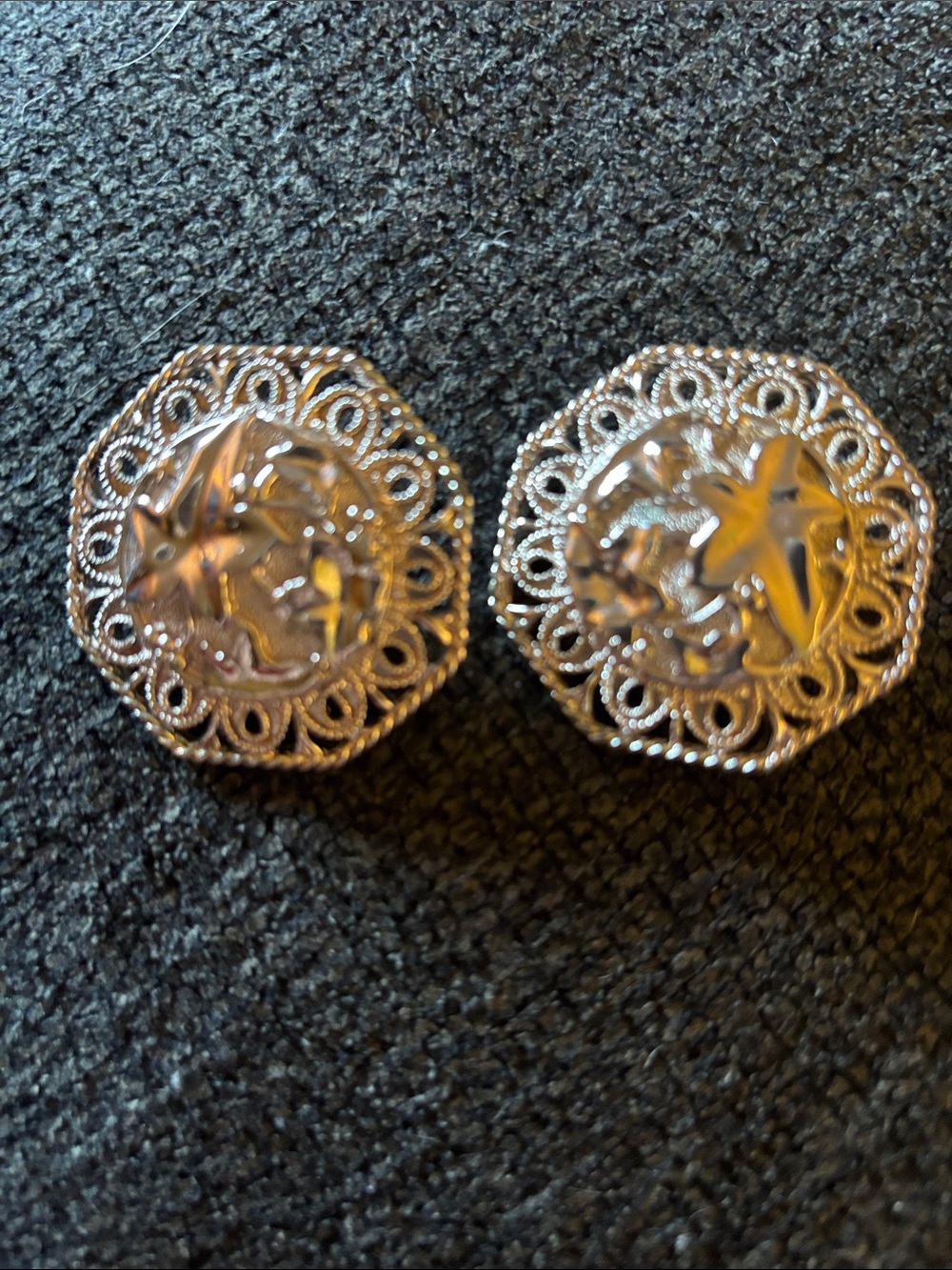 Barrera for Avon clip on earrings